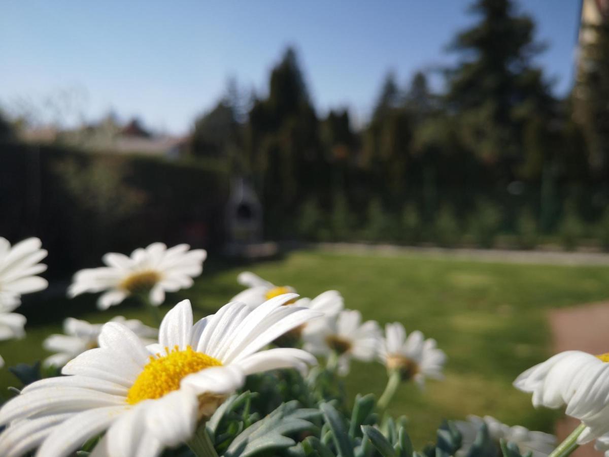 Balaton Apartman Füred Balatonfüred Dış mekan fotoğraf